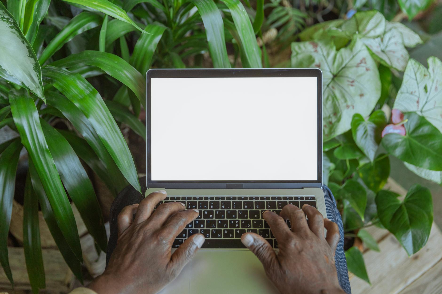 Beginner’s Guide to Starting a Sustainable Online Business