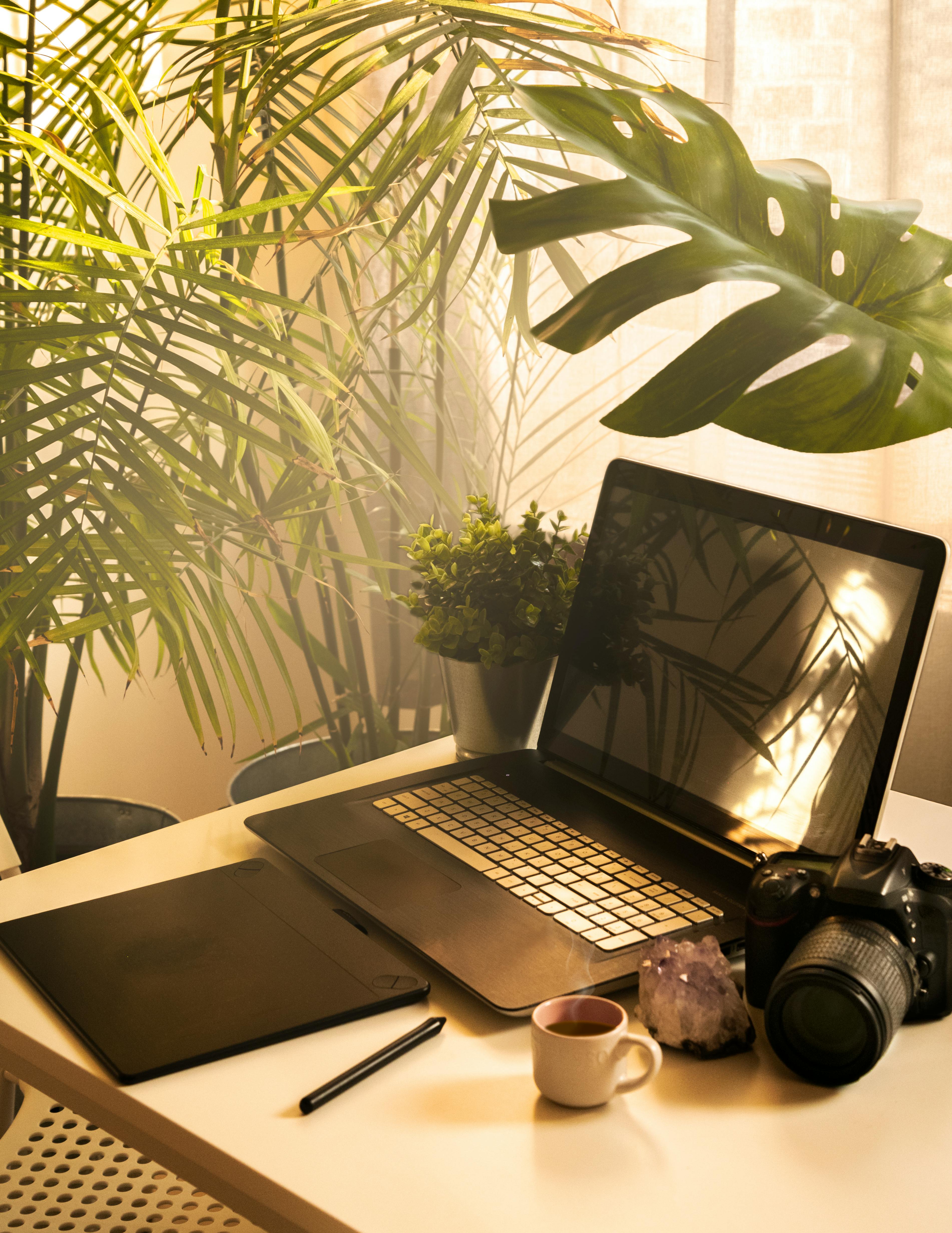 10 Effective Online Small Business Strategies for Success